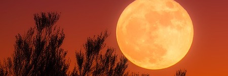 Energie update Rode Maan levenspad 28 maart - 9 april 2022: Energie om jezelf te zuiveren